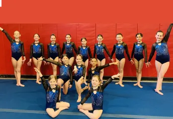 gymnastics team