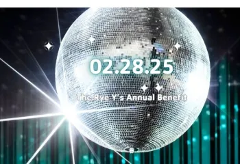 disco ball