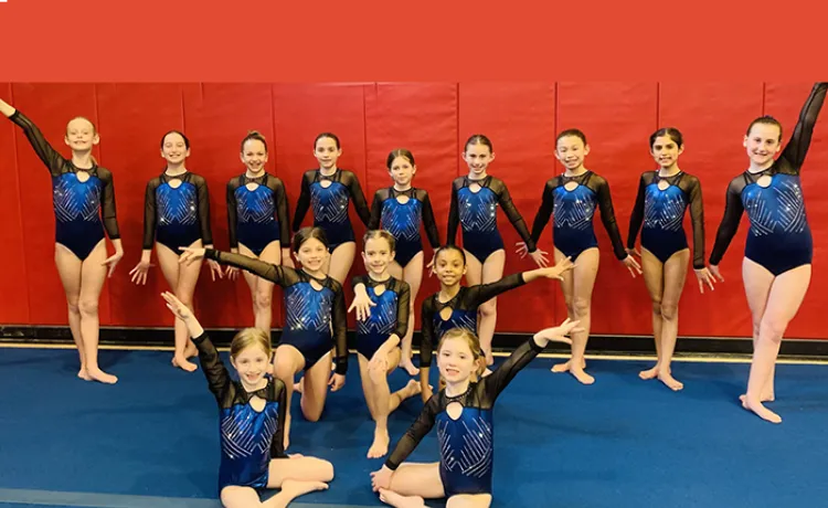 gymnastics team