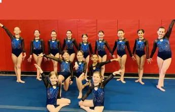 gymnastics team